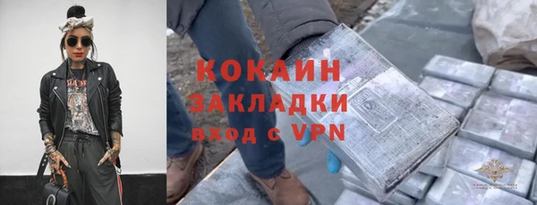 крисы Абаза