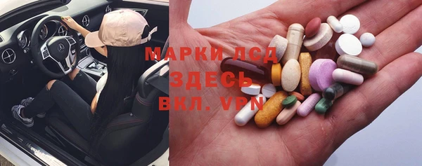 крисы Абаза
