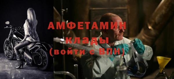 крисы Абаза