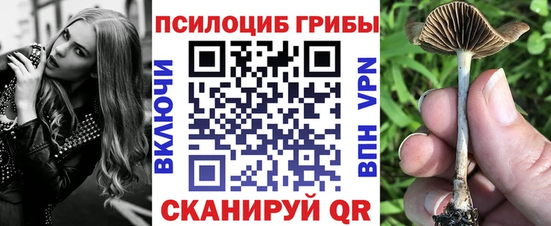 Галлюциногенные грибы прущие грибы  Карталы 